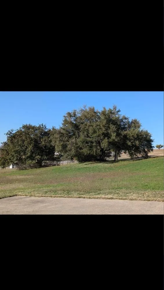 Trusted landscape installation in Azle, TX - Josh's Tree Service and Landscaping