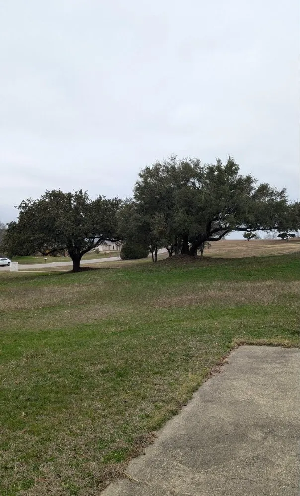 Local landscaping services with custom design in Azle, TX by Josh's Tree Service and Landscaping