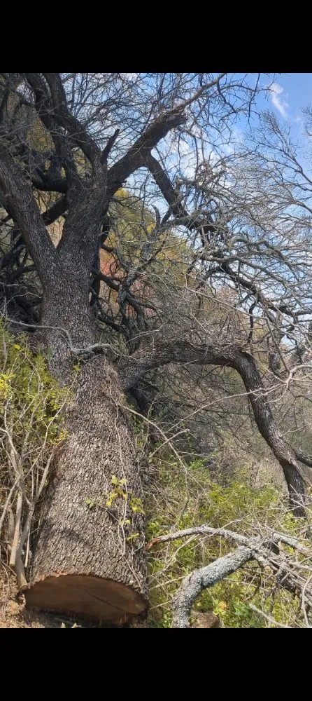 Trusted lawn mowing service in Azle, TX - Josh's Tree Service and Landscaping