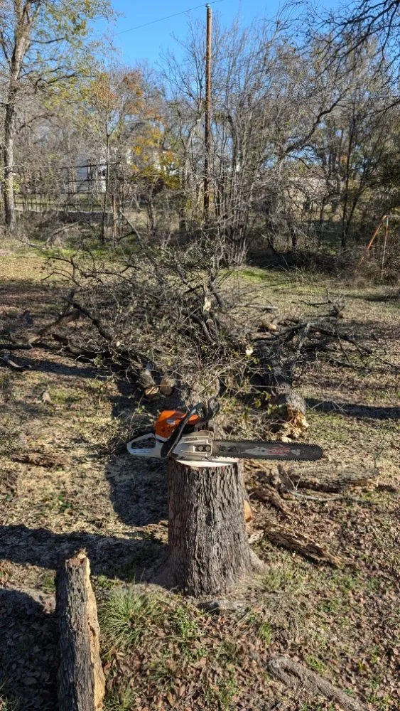 Expert lawn mowing service in Azle, TX by Josh's Tree Service and Landscaping