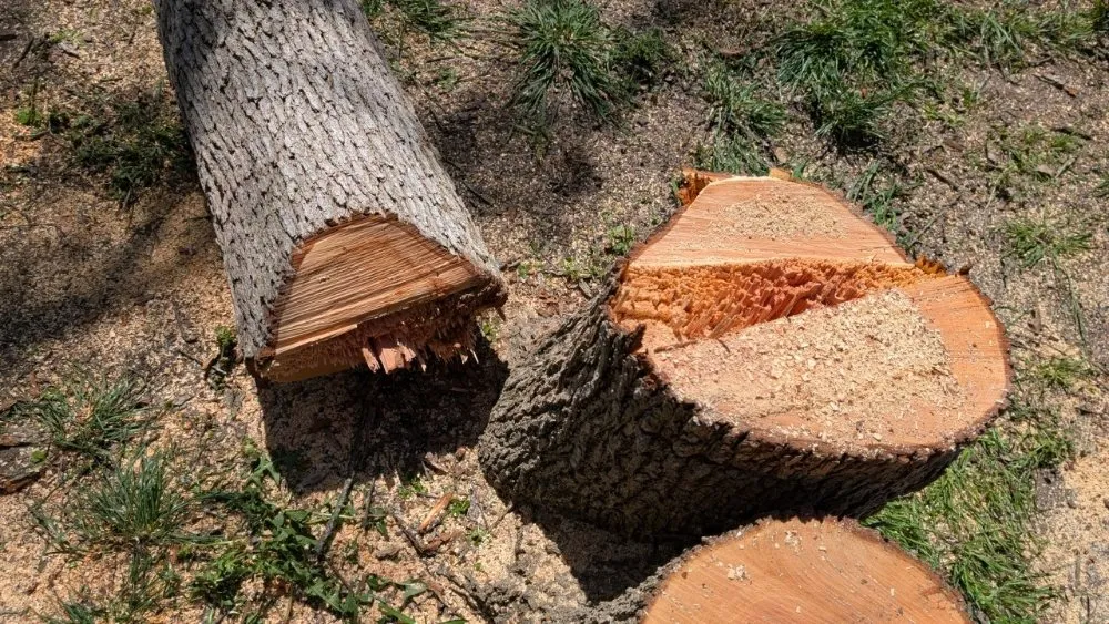Reliable residential landscaping in Azle, TX - Josh's Tree Service and Landscaping