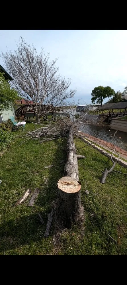 Reliable lawn mowing service for residential properties across Azle, TX - Josh's Tree Service and Landscaping