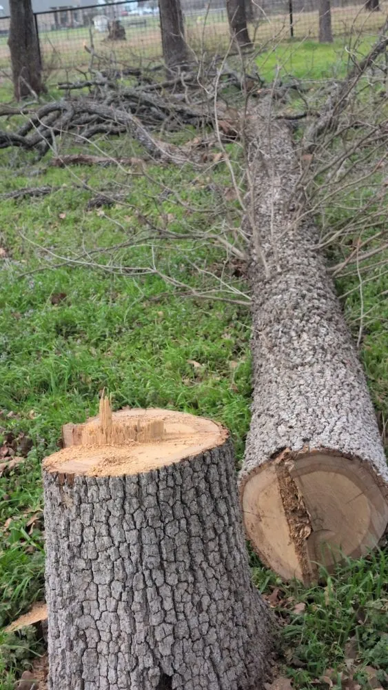 Custom lawn care service in Azle, TX - Josh's Tree Service and Landscaping