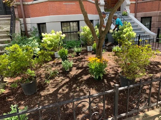 Expert yard cleanup service experts serving Revere, MA - Joshua Landscaping