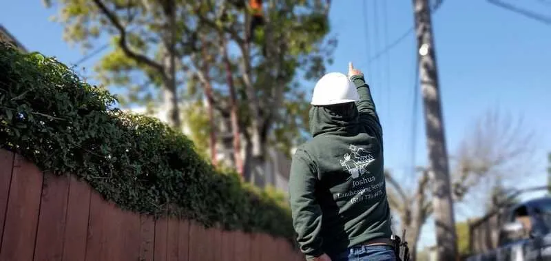 Affordable landscaping services experts serving Richmond, CA - Joshua Landscaping