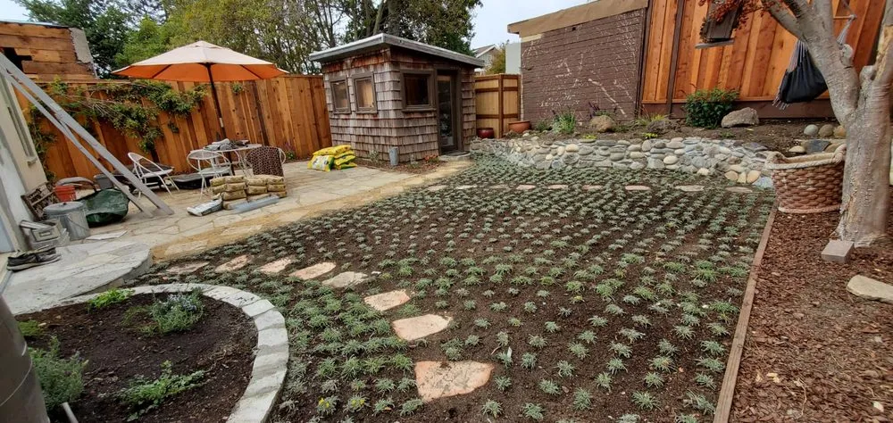 Expert landscape installation for homes in Richmond, CA by Joshua Landscaping