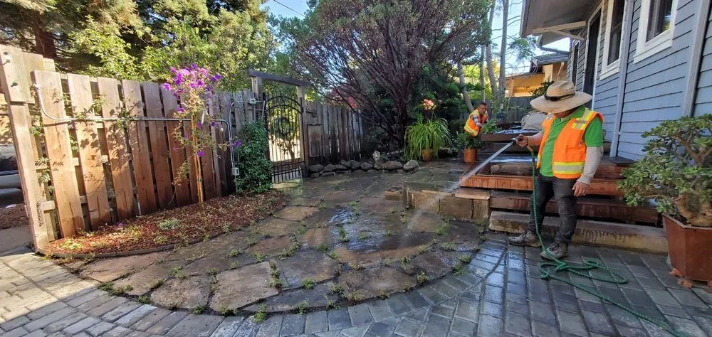 Top-rated lawn care service in Richmond, CA by Joshua Landscaping