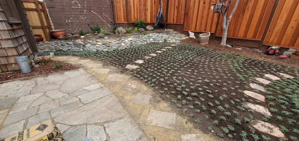 Local lawn care service for homes across Richmond, CA - Joshua Landscaping