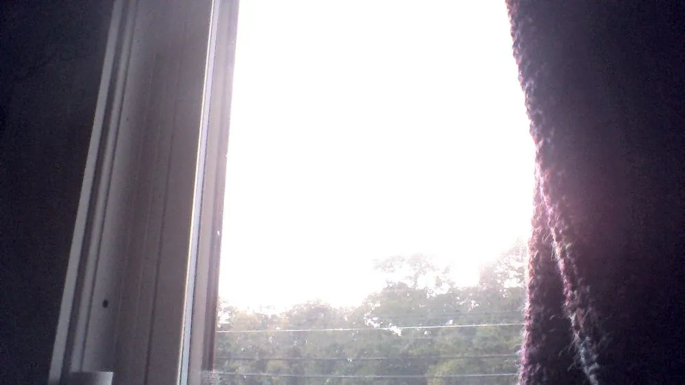 Trusted residential landscaping for beautiful yards in Orange, MA by Joshua Myrvaagnes