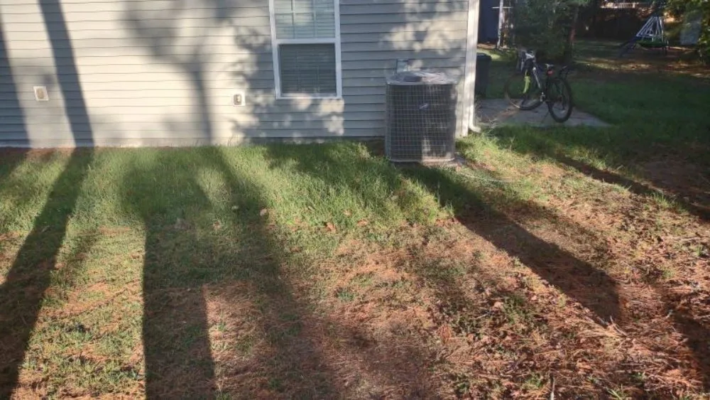 Professional yard cleanup service for beautiful yards across Creedmoor, NC - Joshua Quality Landscaping