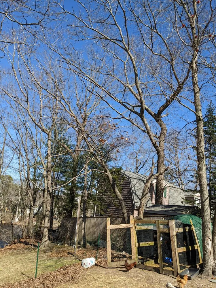 Local garden landscaping experts serving Warren, RI - Joshua Services