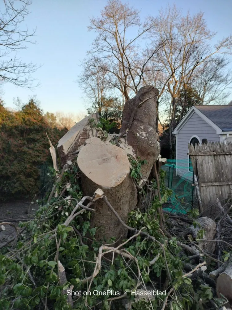 Affordable residential landscaping with custom design in Warren, RI by Joshua Services