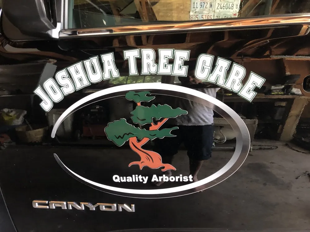 Affordable lawn care service for year-round maintenance across West Chicago, IL - Joshua Tree Care & Landscape Services