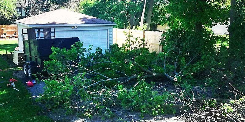 Professional yard maintenance in West Chicago, IL by Joshua Tree Care & Landscape Services