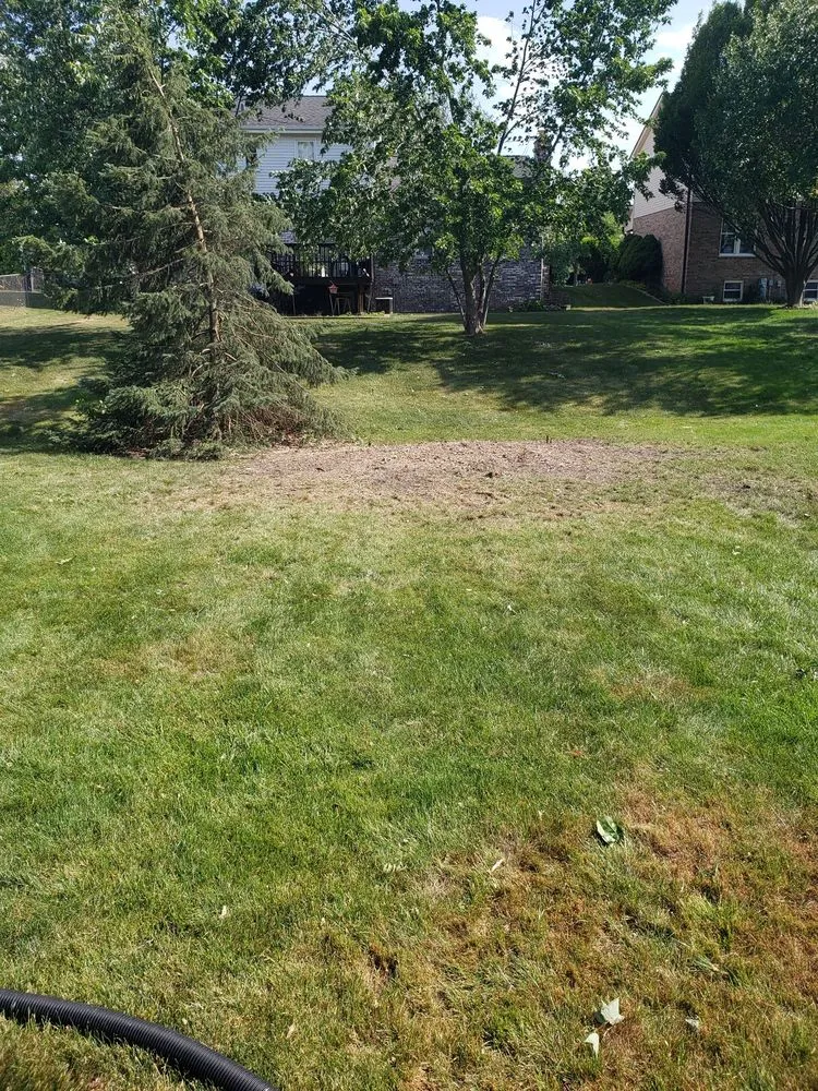 Trusted yard maintenance near you in West Chicago, IL by Joshua Tree Care & Landscape Services