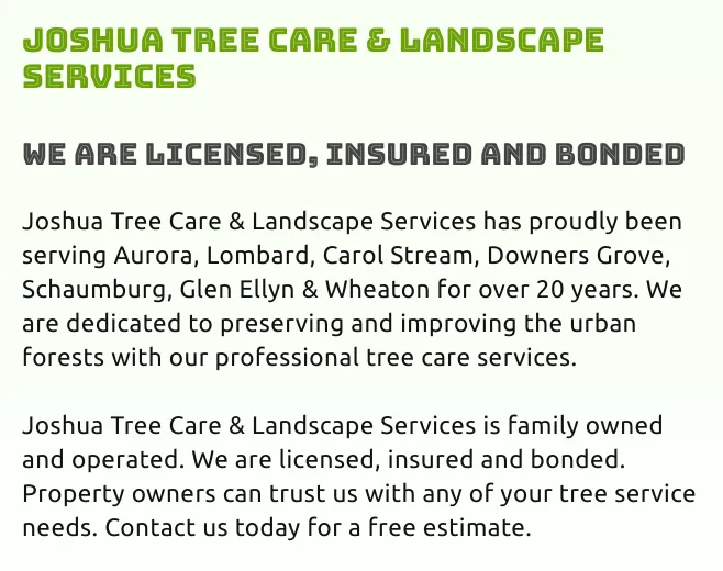Top-rated yard cleanup service experts serving West Chicago, IL - Joshua Tree Care & Landscape Services
