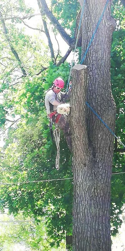 Local residential landscaping experts serving West Chicago, IL - Joshua Tree Care & Landscape Services