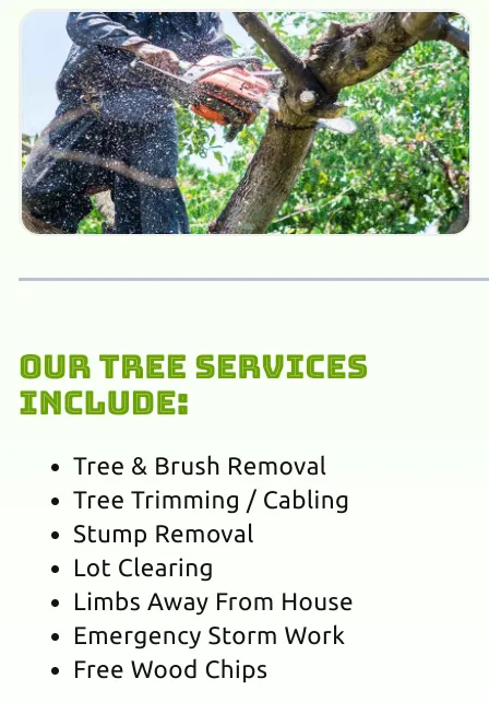 Expert landscape installation for year-round maintenance across West Chicago, IL - Joshua Tree Care & Landscape Services