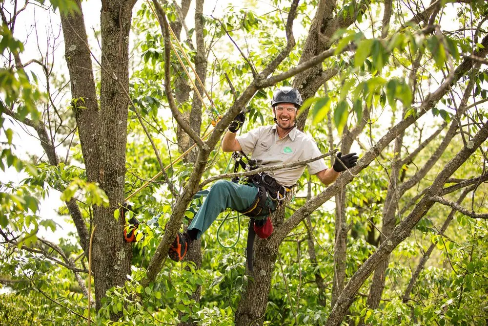 Trusted garden landscaping for residential properties across Huntersville, NC - Joshua Tree Experts