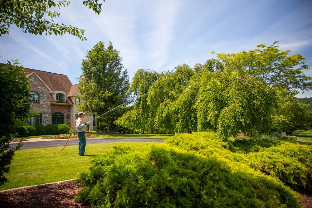 Local outdoor landscaping for homes in Huntersville, NC by Joshua Tree Experts