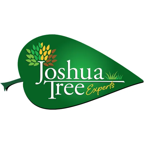 Trusted lawn care service experts serving Huntersville, NC - Joshua Tree Experts