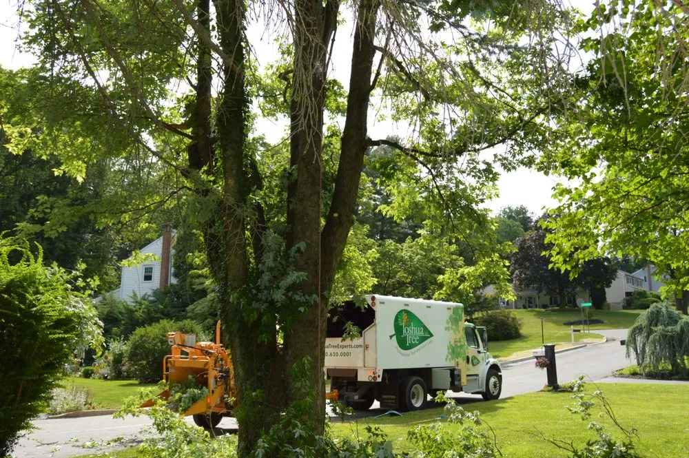 Top-rated landscaping services in Malvern, PA by Joshua Tree Experts