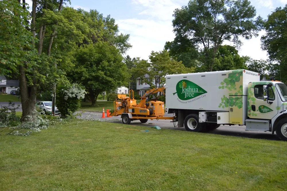 Local lawn mowing service in Malvern, PA - Joshua Tree Experts