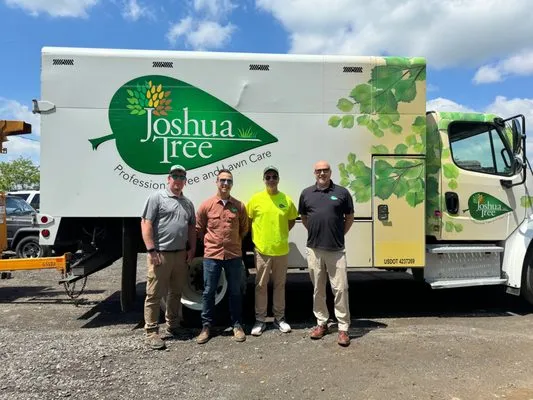 Joshua Tree Experts Logo