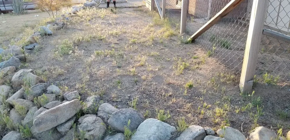 Custom yard cleanup service with custom design across Yucca Valley, CA - Joshua Tree Landscape & Grounds Maintenance