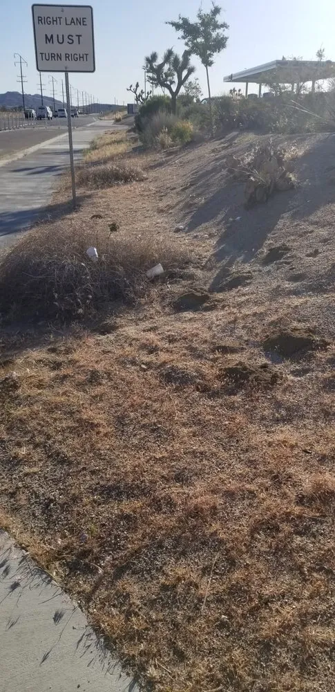 Trusted landscape design experts serving Yucca Valley, CA - Joshua Tree Landscape & Grounds Maintenance