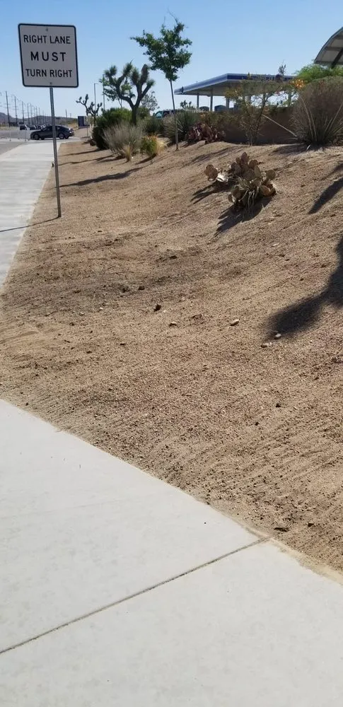 Reliable landscaping services experts serving Yucca Valley, CA - Joshua Tree Landscape & Grounds Maintenance