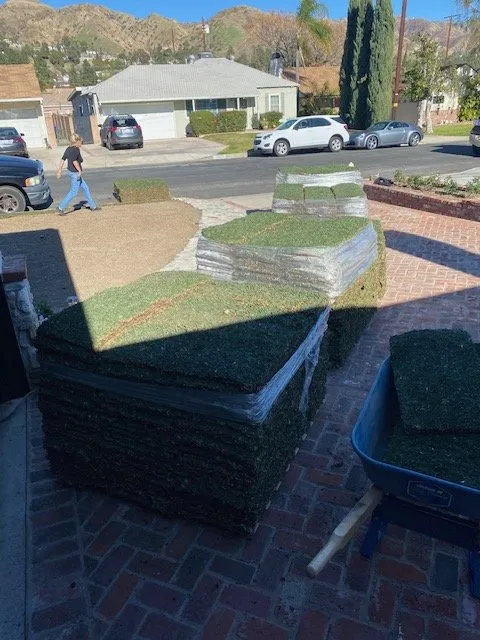 Trusted lawn mowing service in Los Angeles, CA by Joshua Tree Landscape Construction