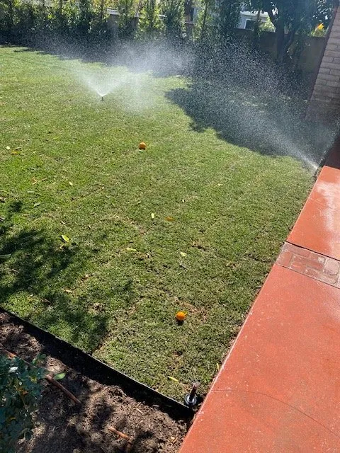 Custom landscape design in Los Angeles, CA - Joshua Tree Landscape Construction