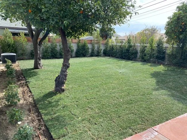 Professional landscape installation for year-round maintenance across Los Angeles, CA - Joshua Tree Landscape Construction