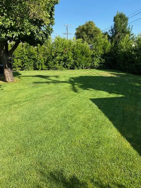 Custom landscape design for year-round maintenance across Los Angeles, CA - Joshua Tree Landscape Construction