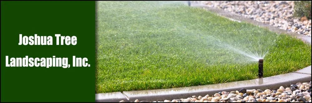 Trusted yard cleanup service in Palm Coast, FL - Joshua Tree Landscaping