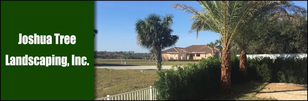 Affordable yard cleanup service in Palm Coast, FL by Joshua Tree Landscaping