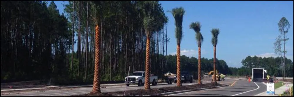 Top-rated lawn mowing service in Palm Coast, FL - Joshua Tree Landscaping