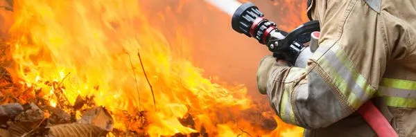 Joshua Tree Landscaping Logo