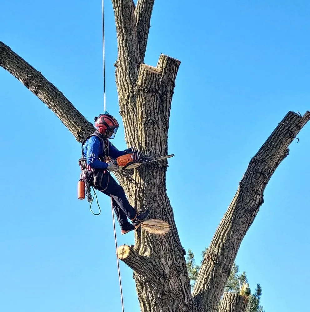 Professional landscape installation for beautiful yards across Valley Center, KS - Joshua Tree Lawn and Garden