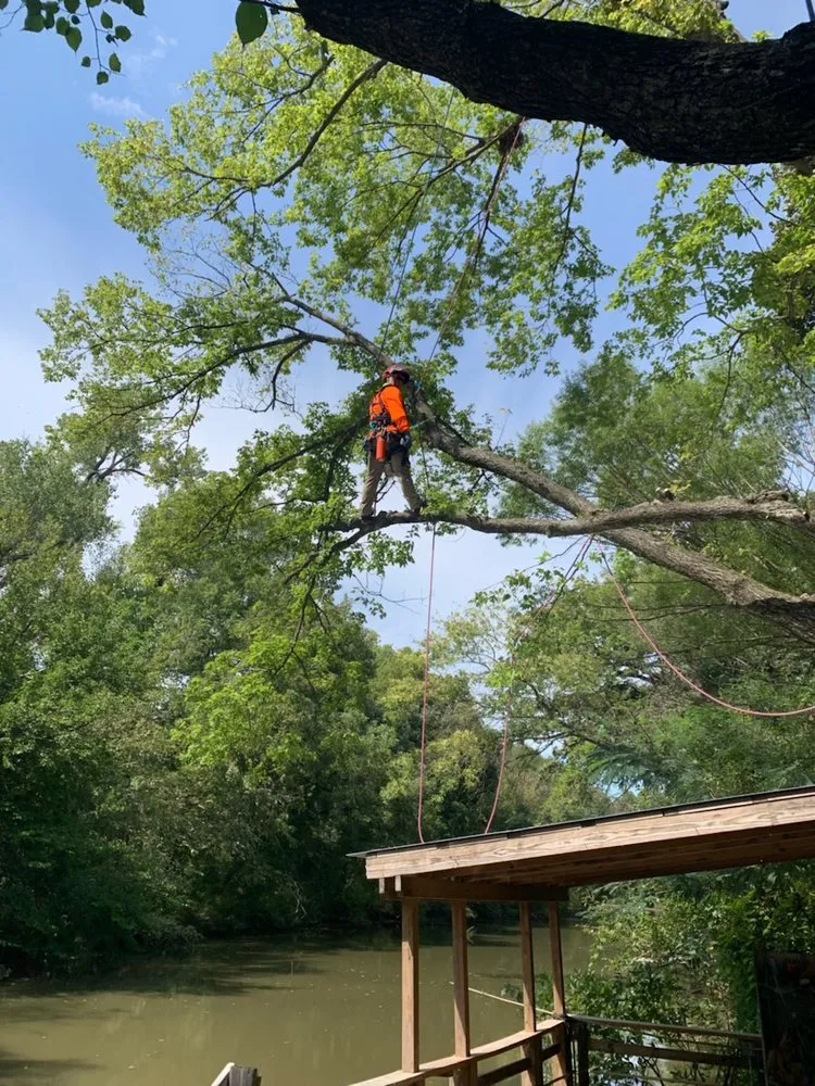 Local landscape installation for year-round maintenance in Valley Center, KS by Joshua Tree Lawn and Garden