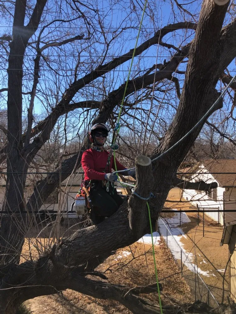 Top-rated yard maintenance for homes across Valley Center, KS - Joshua Tree Lawn and Garden