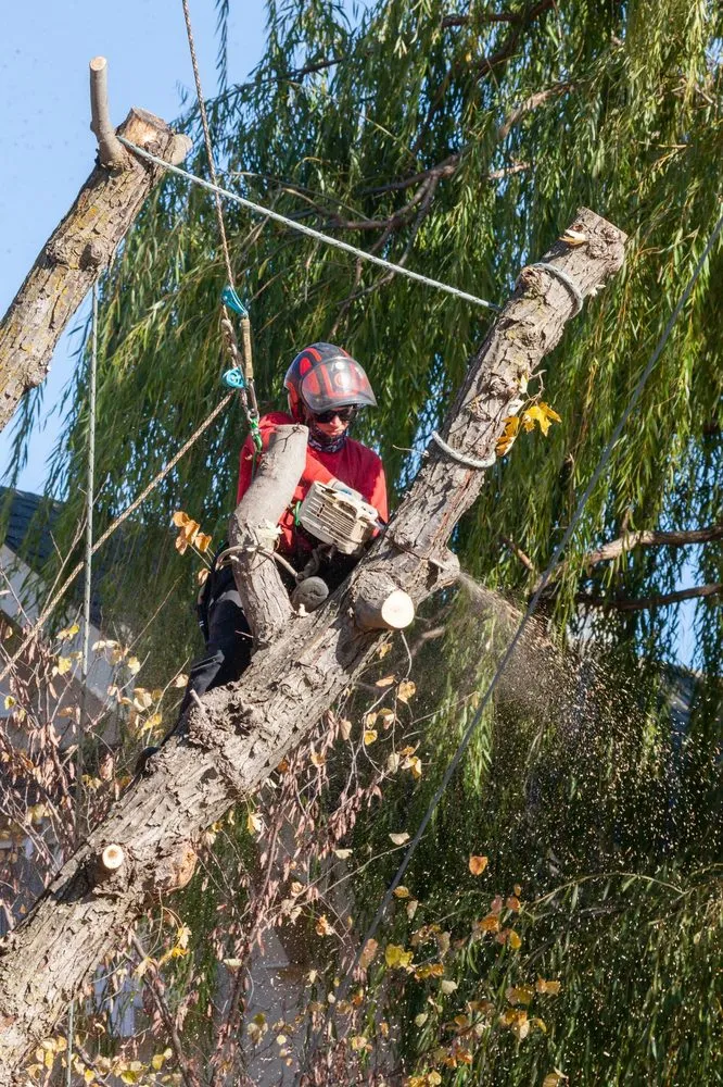 Expert garden landscaping for residential properties in Valley Center, KS by Joshua Tree Lawn and Garden