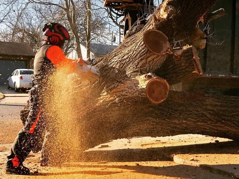 Custom landscape installation with custom design across Valley Center, KS - Joshua Tree Lawn and Garden