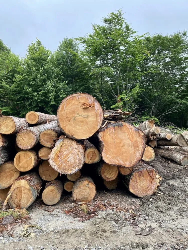 Expert yard cleanup service in Raymond, NH by Joshua Tree Services