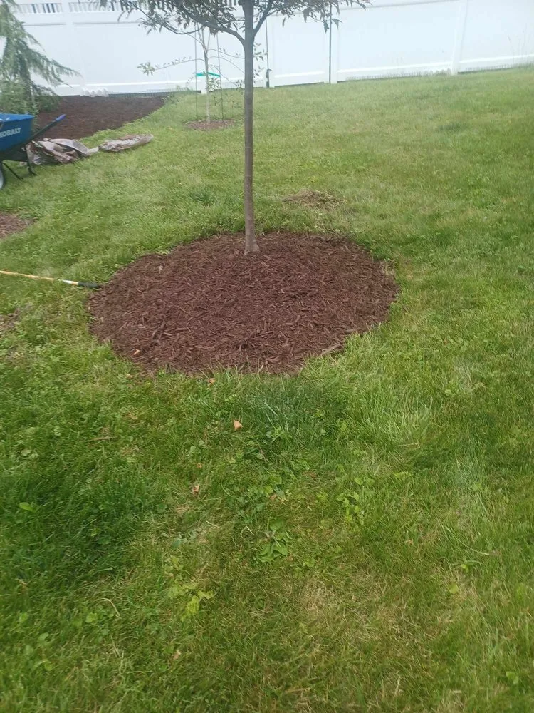 Top-rated lawn mowing service for residential properties in East Syracuse, NY by Joshuao Tb Landscaping