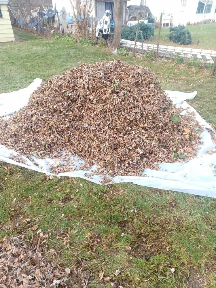 Affordable landscape design for residential properties across East Syracuse, NY - Joshuao Tb Landscaping