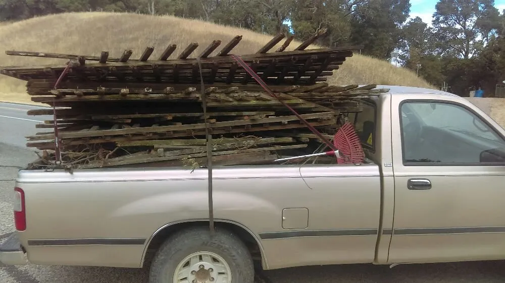 Affordable yard cleanup service near you in Paso Robles, CA by Joshua's Landscape & Pest Control