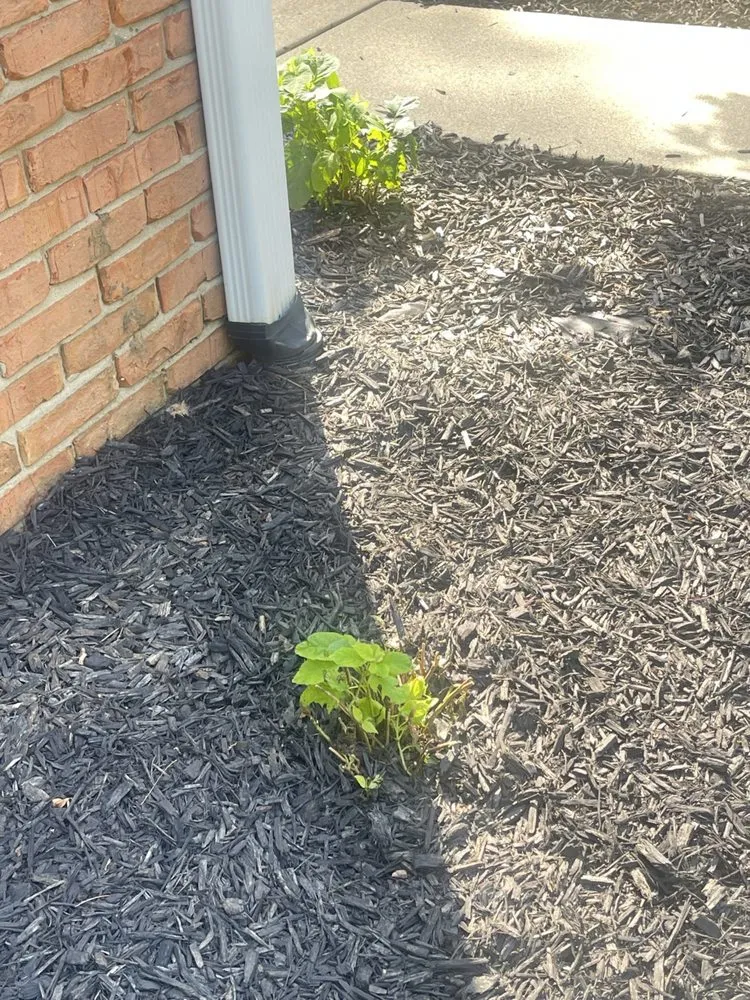 Local outdoor landscaping for outdoor upgrades across Swansea, IL - Joshua’s landscape and design