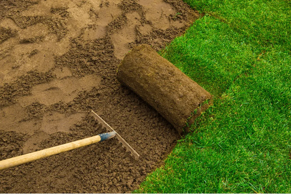 Expert outdoor landscaping for year-round maintenance in Lewes, DE by Joshua's Landscaping